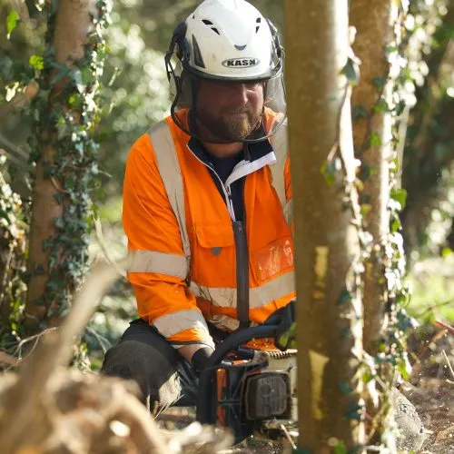 tree-felling-1